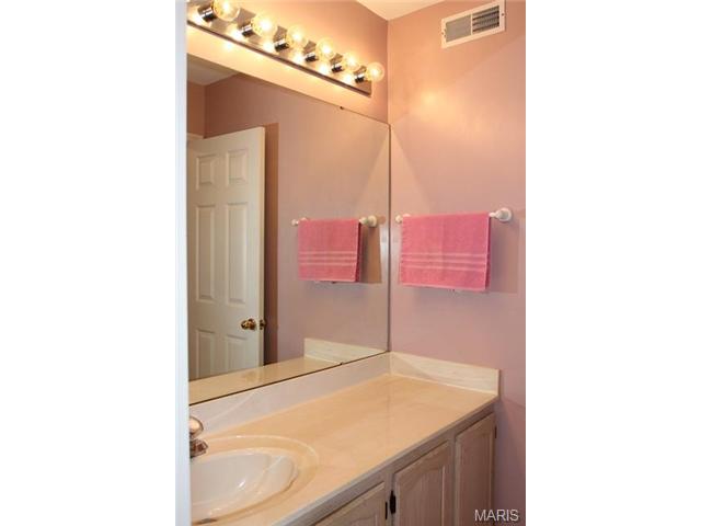 1628 Strecker Rdg, Ballwin, MO 63011 photo 33