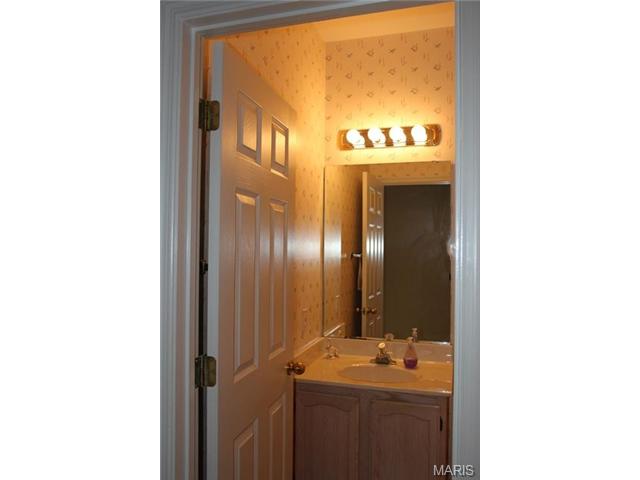 1628 Strecker Rdg, Ballwin, MO 63011 photo 25