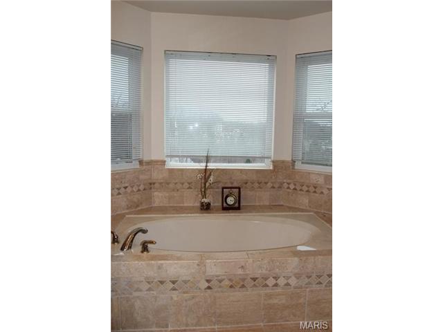 1628 Strecker Rdg, Ballwin, MO 63011 photo 39