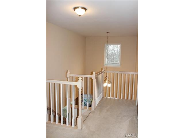 1628 Strecker Rdg, Ballwin, MO 63011 photo 26