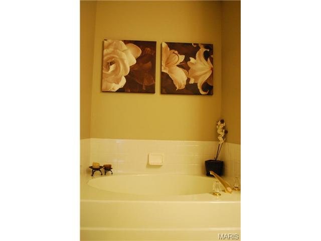 1773 Highview Circle Ct, Ballwin, MO 63021 photo 11