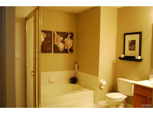 1773 Highview Circle Ct, Ballwin, MO 63021 photo 10