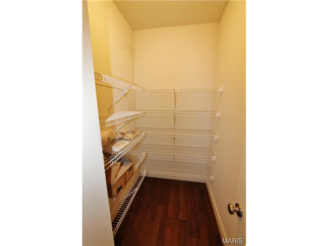 427 Hillington Dr, Eureka, MO 63025 photo 36