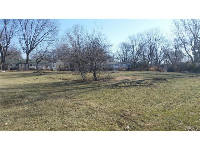 149 E Towerwood Dr, O'fallon, MO 63366 photo 5