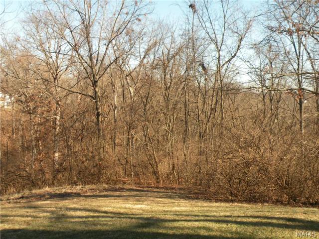 717 Ridgeside #E, Ballwin, MO 63021 photo 18