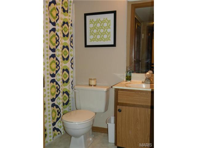 717 Ridgeside #E, Ballwin, MO 63021 photo 12