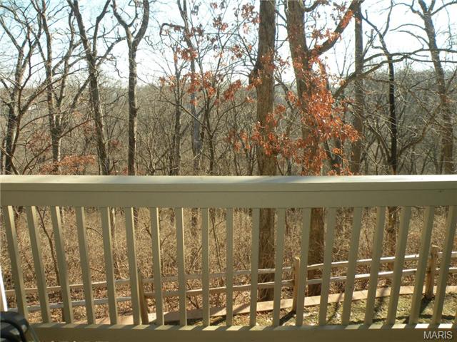 717 Ridgeside #E, Ballwin, MO 63021 photo 16