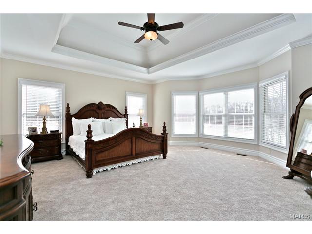 1025 Stonecastle Dr, O'fallon, MO 63366 photo 19
