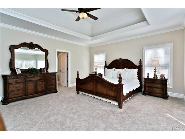 1025 Stonecastle Dr, O'fallon, MO 63366 photo 20