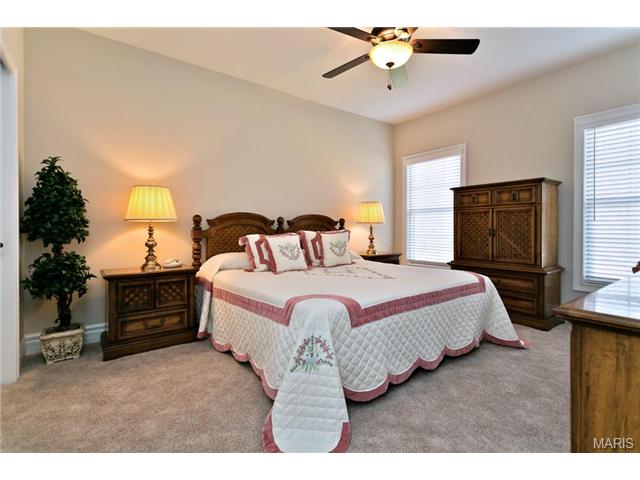 1025 Stonecastle Dr, O'fallon, MO 63366 photo 25