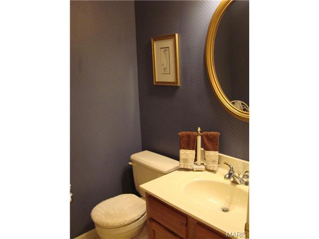 175 Baxter Heights Ct, Ballwin, MO 63011 photo 16
