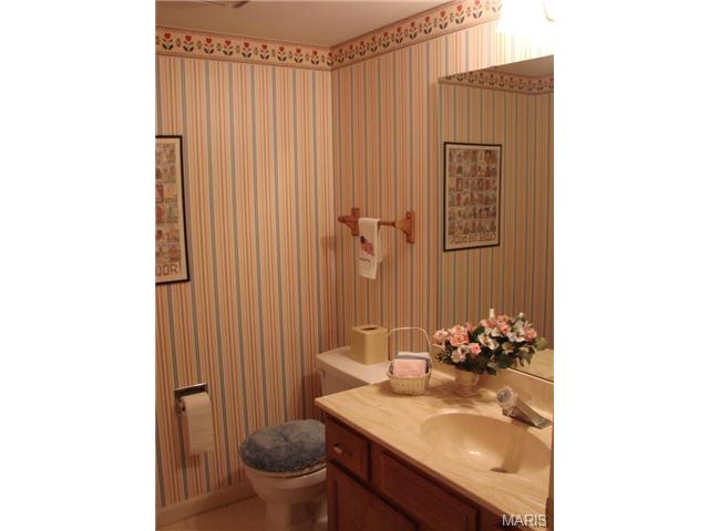 175 Baxter Heights Ct, Ballwin, MO 63011 photo 10