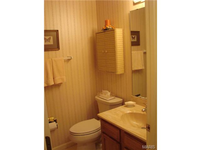 175 Baxter Heights Ct, Ballwin, MO 63011 photo 26