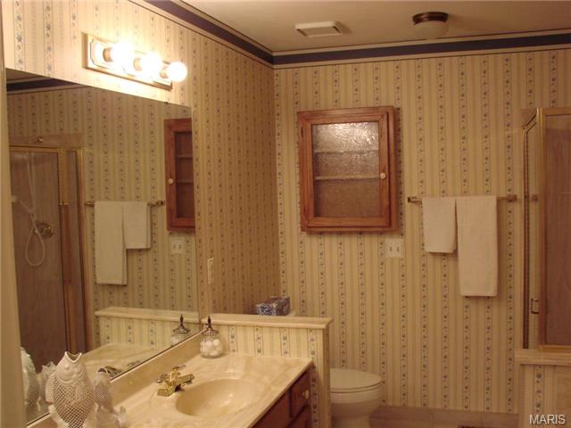 175 Baxter Heights Ct, Ballwin, MO 63011 photo 20