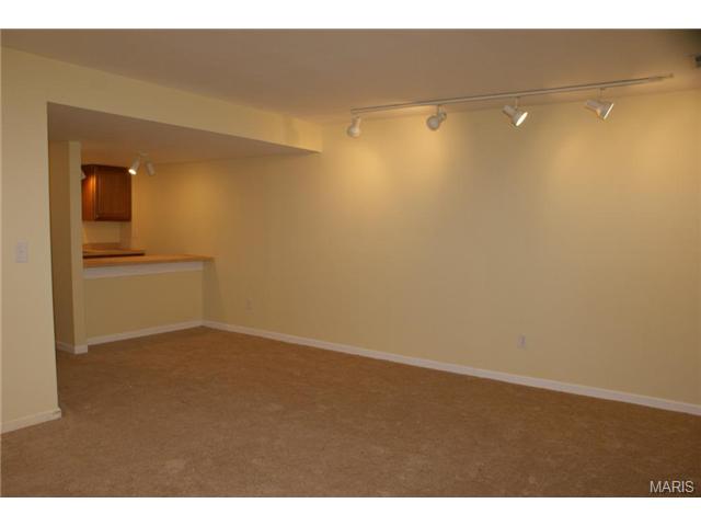 175 Baxter Heights Ct, Ballwin, MO 63011 photo 34
