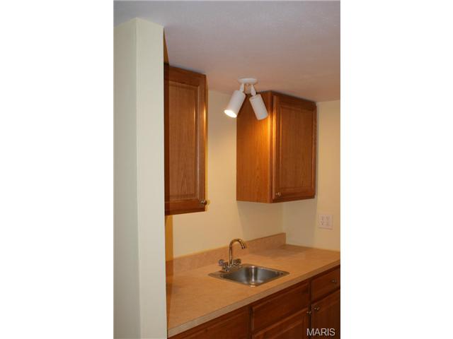 175 Baxter Heights Ct, Ballwin, MO 63011 photo 31
