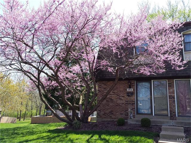 210 Braeshire Dr #A, Ballwin, MO 63021 photo 1