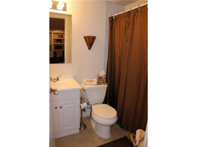 208 Pointe Lucerne Ct, Ballwin, MO 63011 photo 30