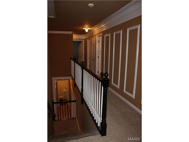 208 Pointe Lucerne Ct, Ballwin, MO 63011 photo 26