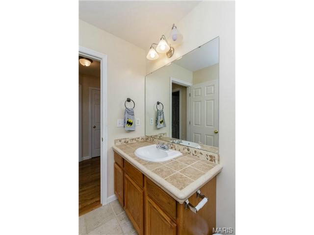 2521 Fastball, O'fallon, MO 63366 photo 29