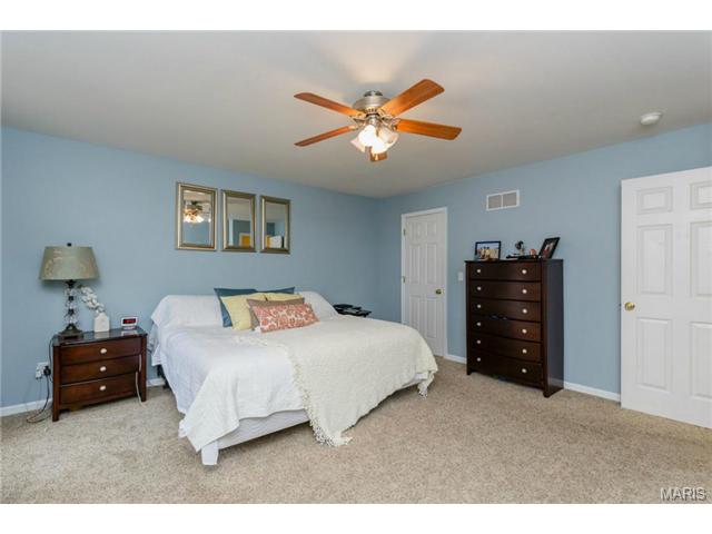 2521 Fastball, O'fallon, MO 63366 photo 22