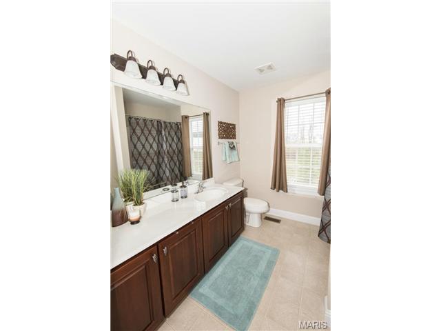 121 Fox Haven Dr, O'fallon, MO 63368 photo 31