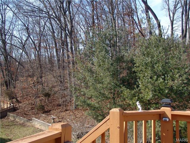 361 Gateford, Ballwin, MO 63021 photo 34