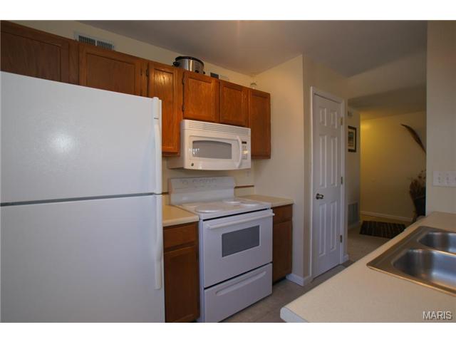 144 Old Buggy Ct, St. Peters, MO 63304 photo 7