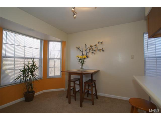 144 Old Buggy Ct, St. Peters, MO 63304 photo 5