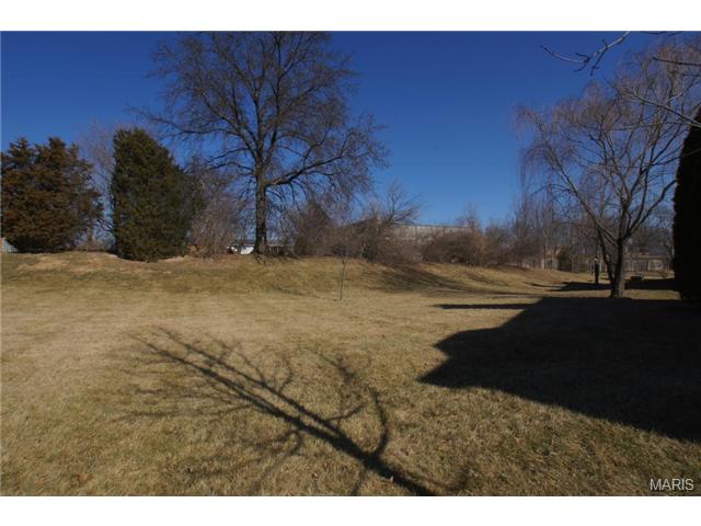 144 Old Buggy Ct, St. Peters, MO 63304 photo 16