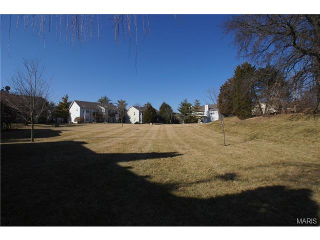 144 Old Buggy Ct, St. Peters, MO 63304 photo 17