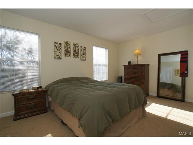 144 Old Buggy Ct, St. Peters, MO 63304 photo 10