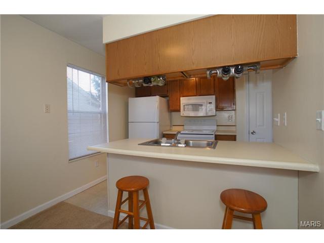 144 Old Buggy Ct, St. Peters, MO 63304 photo 6