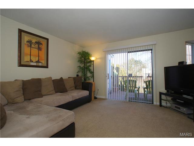 144 Old Buggy Ct, St. Peters, MO 63304 photo 3
