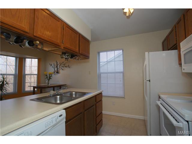 144 Old Buggy Ct, St. Peters, MO 63304 photo 8