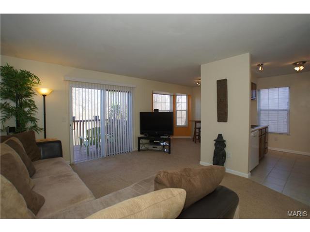 144 Old Buggy Ct, St. Peters, MO 63304 photo 2