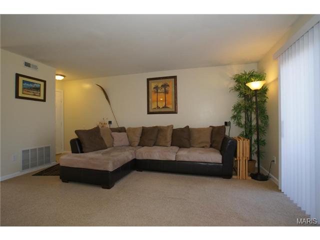 144 Old Buggy Ct, St. Peters, MO 63304 photo 4