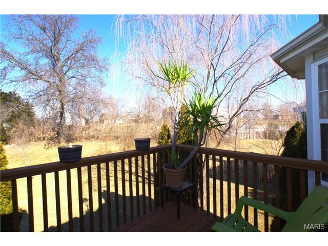 144 Old Buggy Ct, St. Peters, MO 63304 photo 13