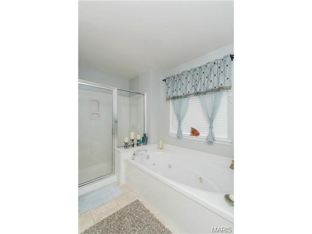 183 Roxbury Dr, O'fallon, MO 63366 photo 23