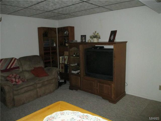459 Augustine, Eureka, MO 63025 photo 19