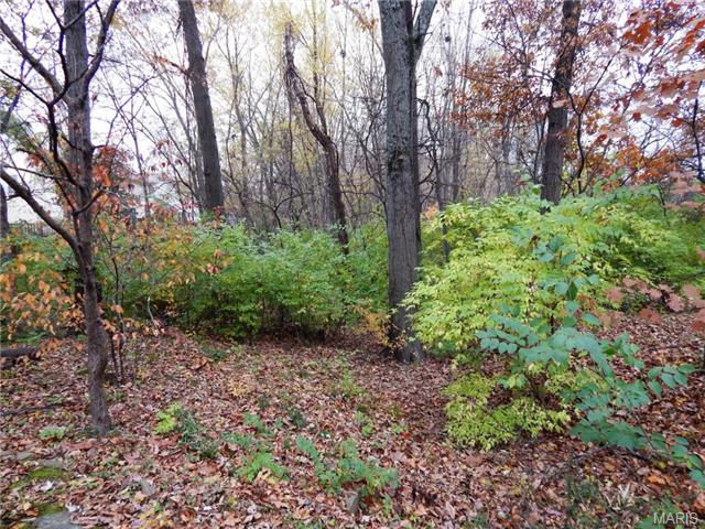 794 Spring Hill Farm Dr, Ballwin, MO 63021 photo 32