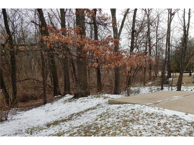794 Spring Hill Farm Dr, Ballwin, MO 63021 photo 34
