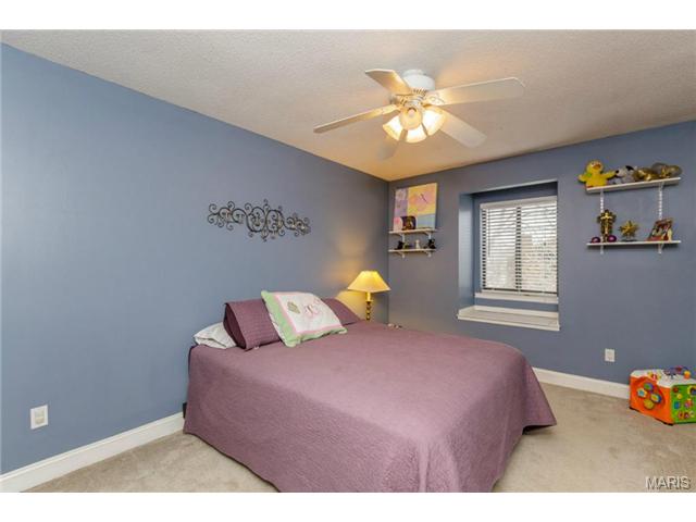 224 Hemingway Ln, Weldon Spring, MO 63304 photo 18