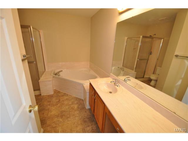 1338 Apple Valley Dr, O'fallon, MO 63366 photo 11