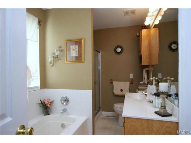 7546 Cinnamon Teal Dr, O'fallon, MO 63368 photo 14