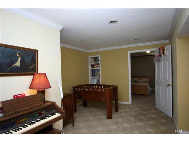 7546 Cinnamon Teal Dr, O'fallon, MO 63368 photo 24
