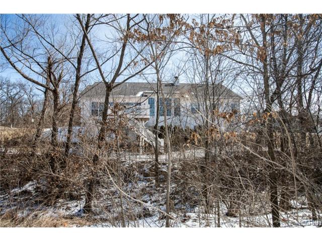 2609 Whitetail Ln, O'fallon, MO 63368 photo 53