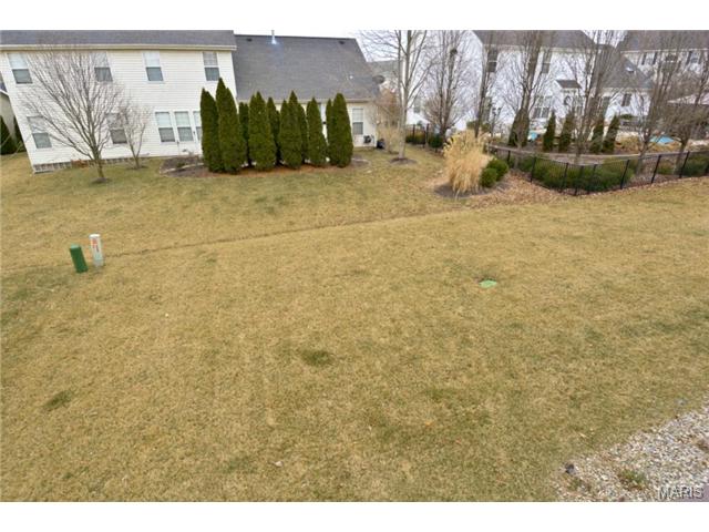1008 Red Orchard Trl, O'fallon, MO 63368 photo 39