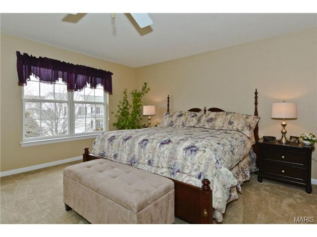 1008 Red Orchard Trl, O'fallon, MO 63368 photo 18