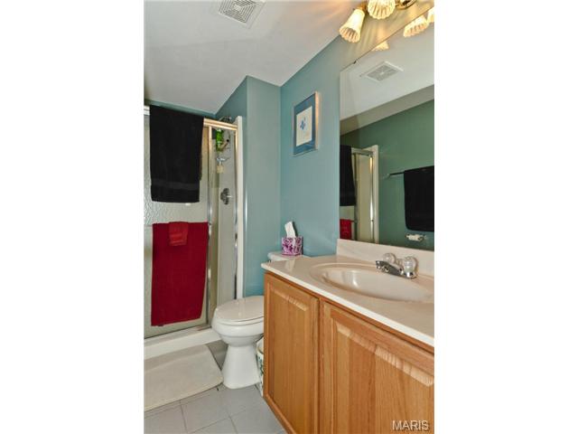 1008 Red Orchard Trl, O'fallon, MO 63368 photo 31